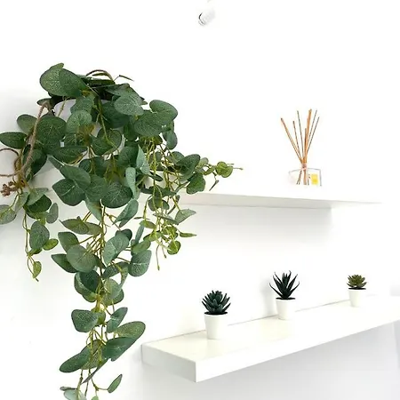 דירה Crazy Summerland מאמאיה