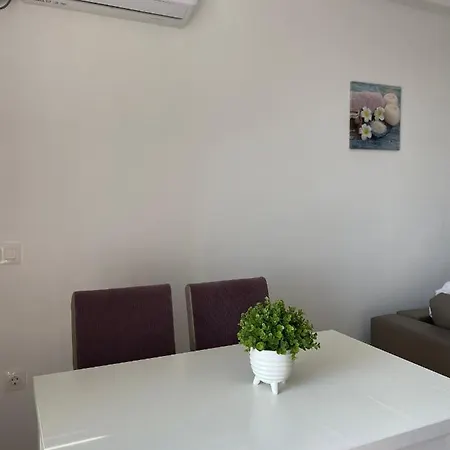 Crazy Summerland * מאמאיה