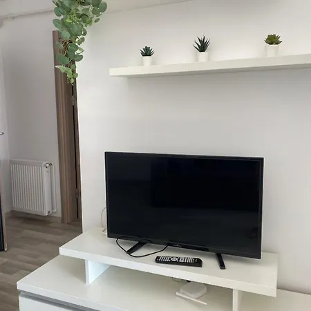 Crazy Summerland * Mamaia